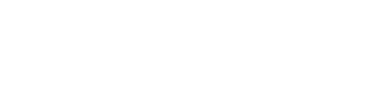 Paradizzo by MZN